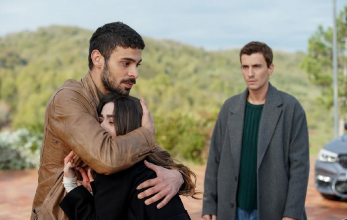 Турецкий сериал Дикий 12 серия смотреть онлайн